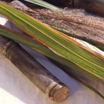 sugar feature