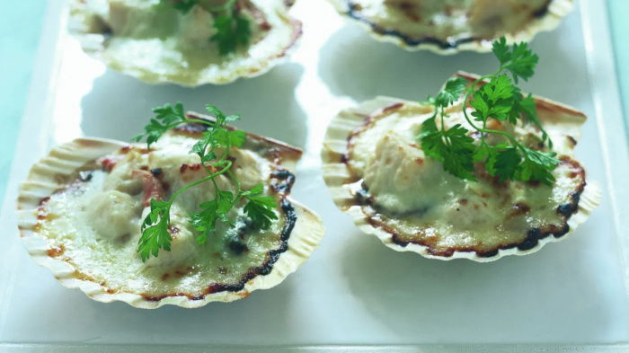 A picture of four scallops in their shells sitting on a white plate