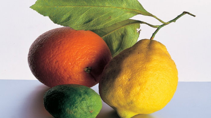 A picture of an orange a lemon and a lime