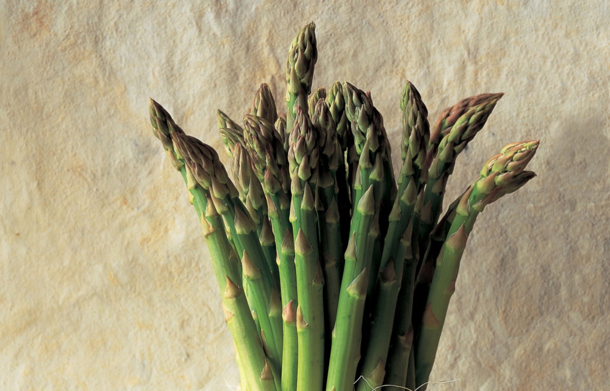 A picture of Asparagus: fast food and good for you
