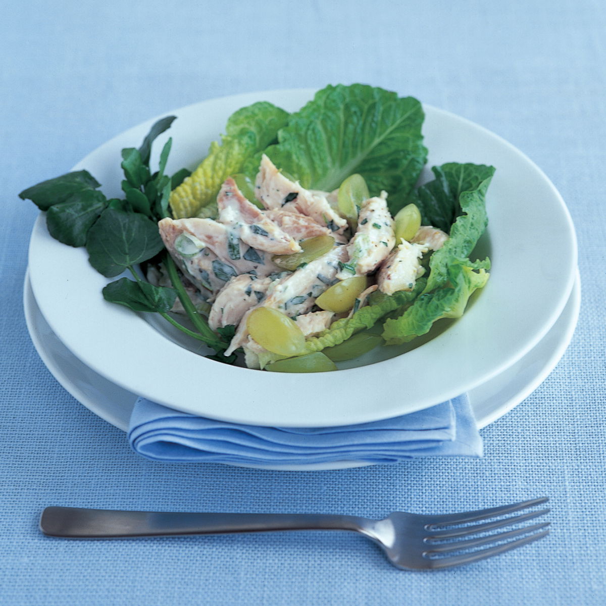 A picture of Chicken recipes