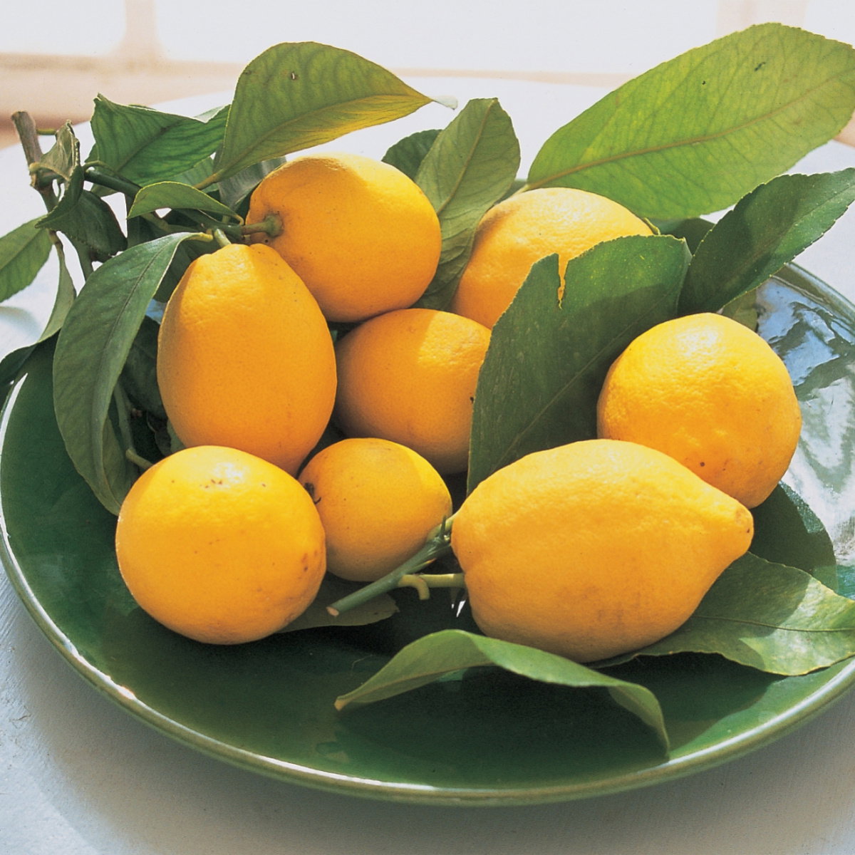 a picture of a green bowl filled with ripe lemons 
