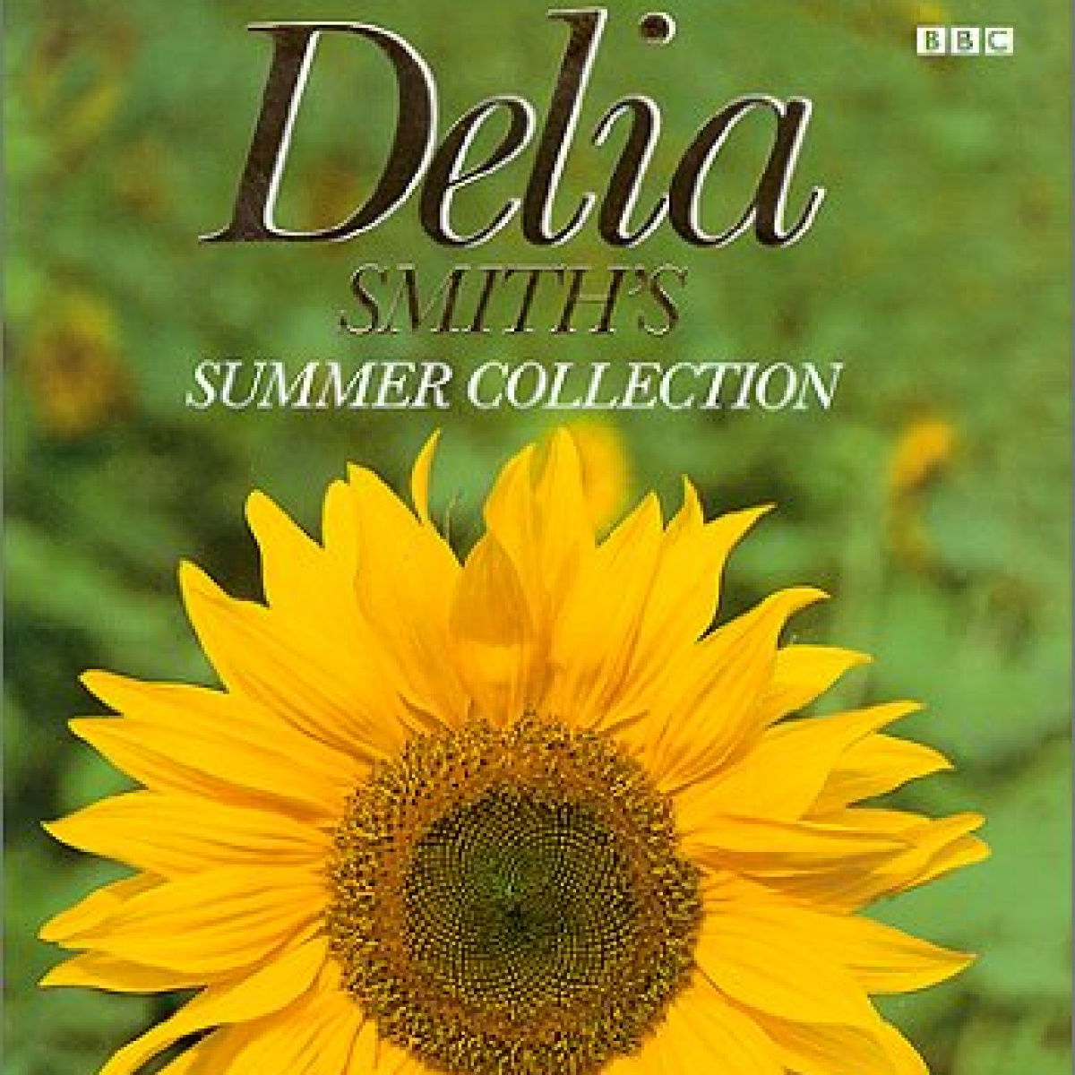 A picture of Delia's Summer Collection