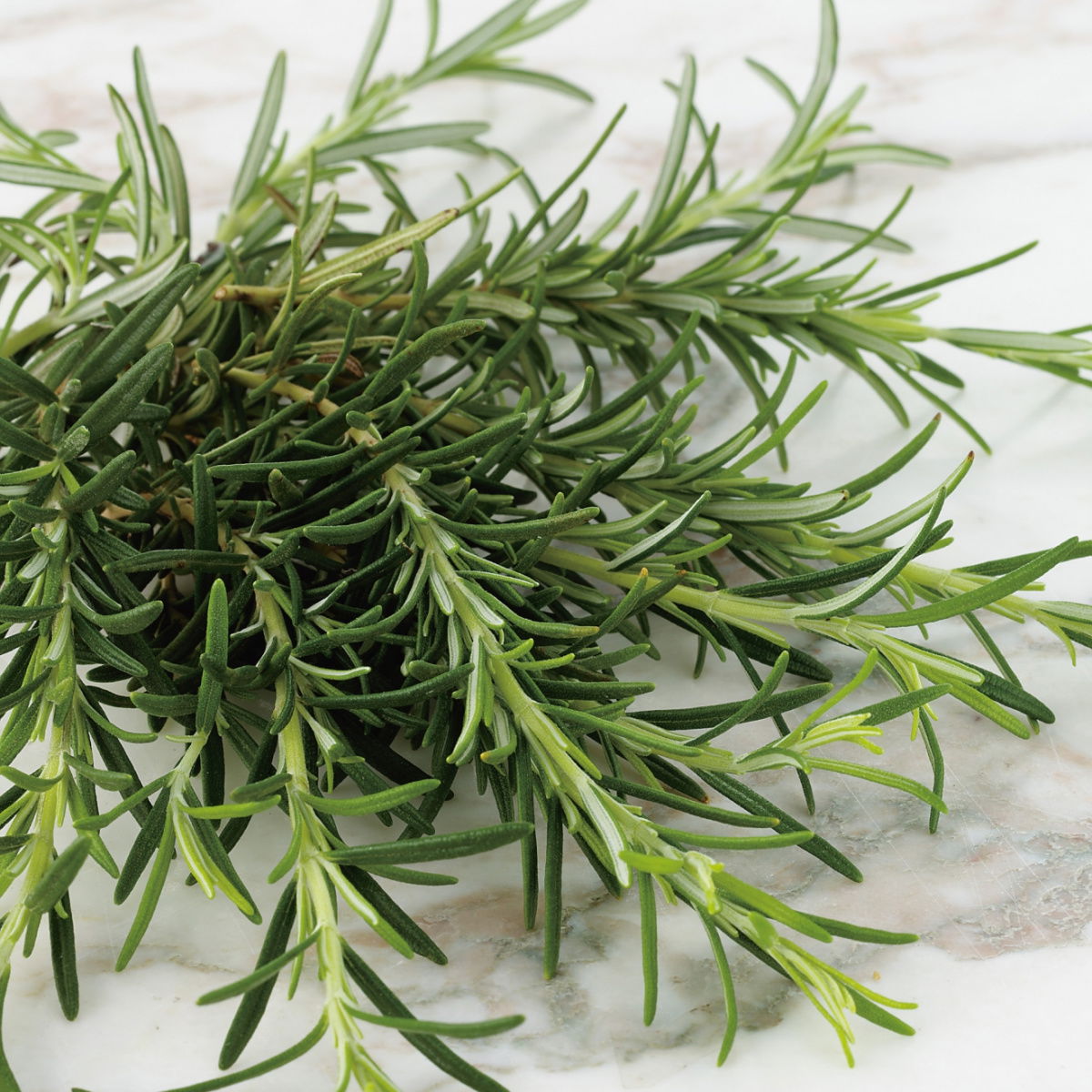 A picture of Delia's Rosemary ingredient
