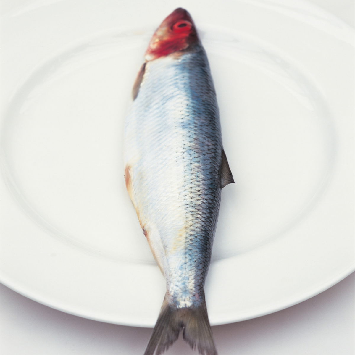 A picture of Delia's Herrings, sprats, sardines and whitebait ingredient