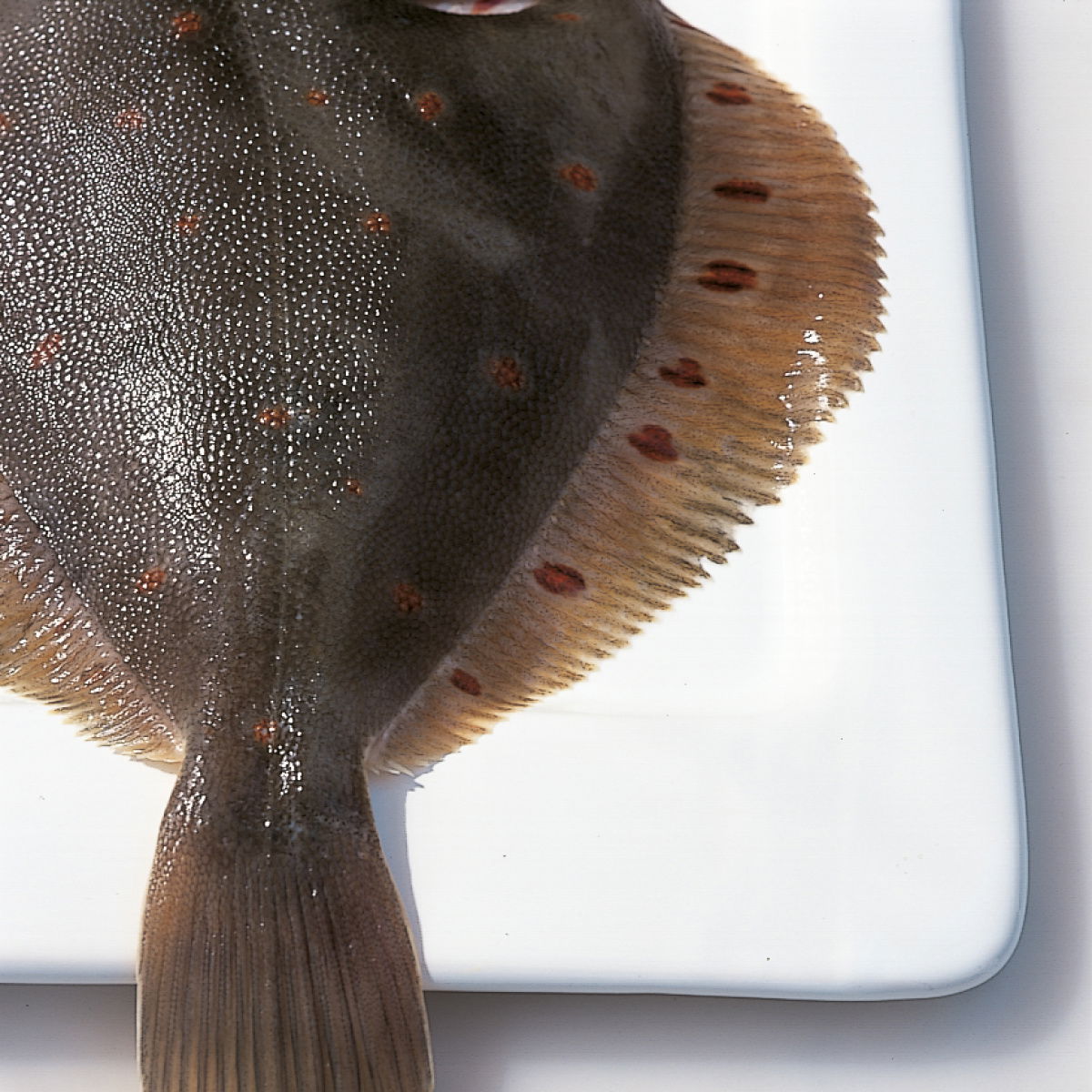 A picture of Delia's Plaice ingredient