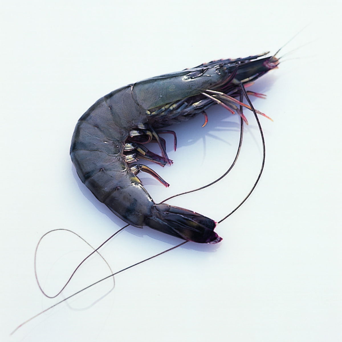 A picture of Delia's Prawns ingredient