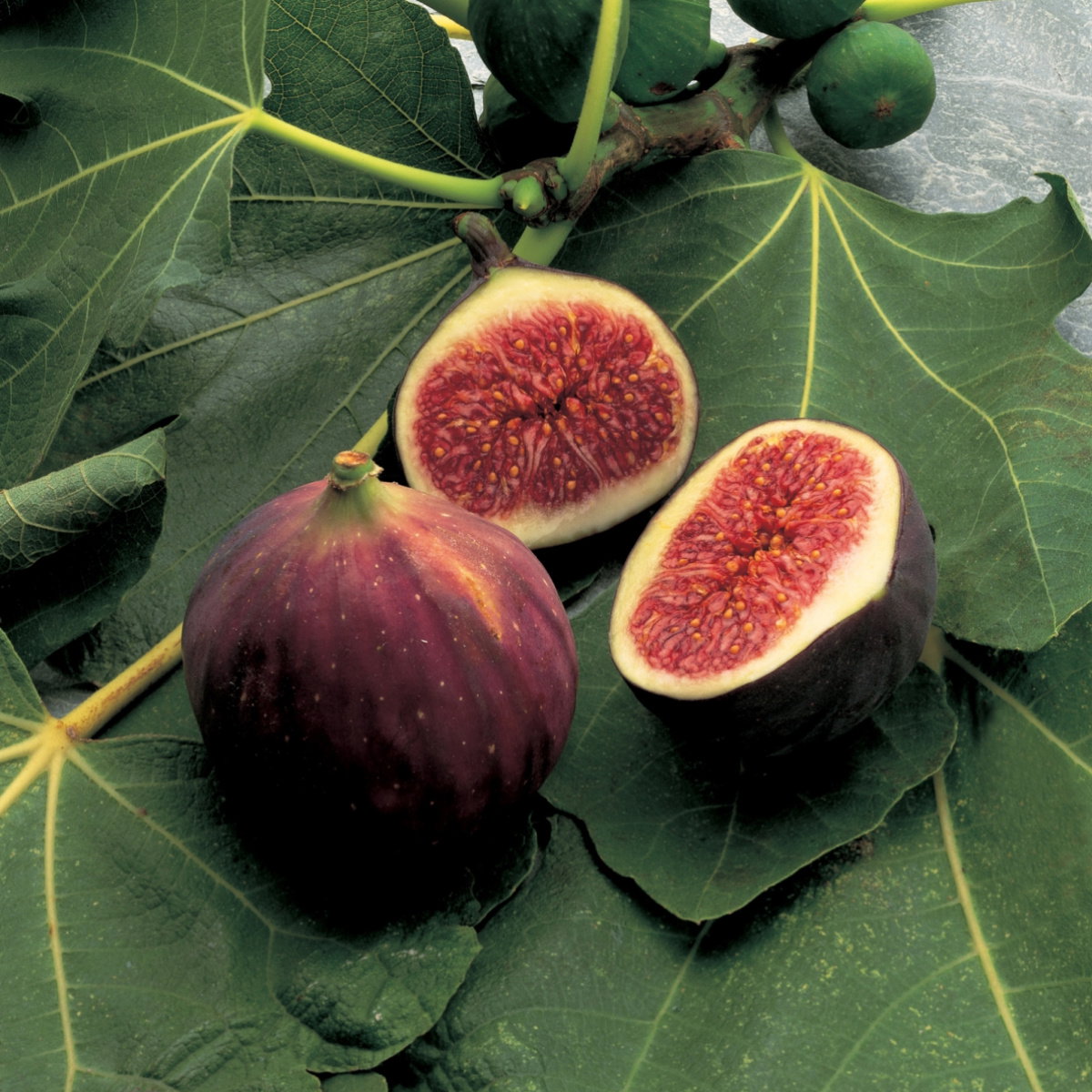 A picture of Delia's Figs ingredient