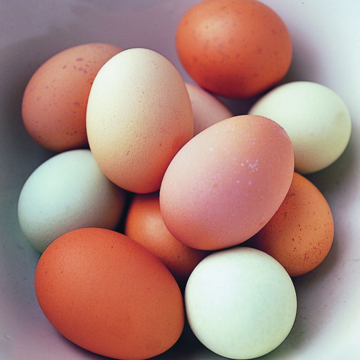 A picture of Delia's Eggs ingredient