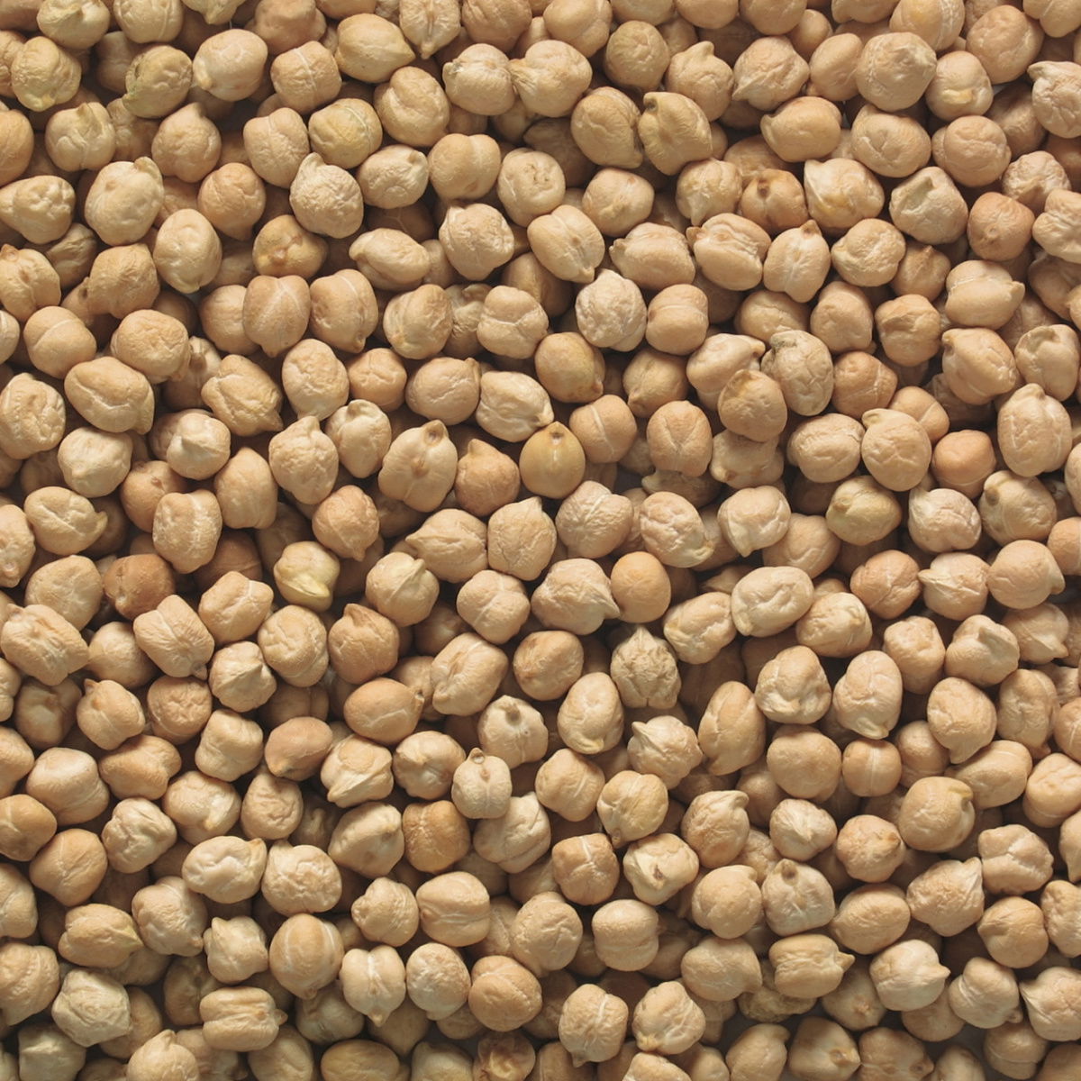 A picture of Delia's Chickpeas ingredient