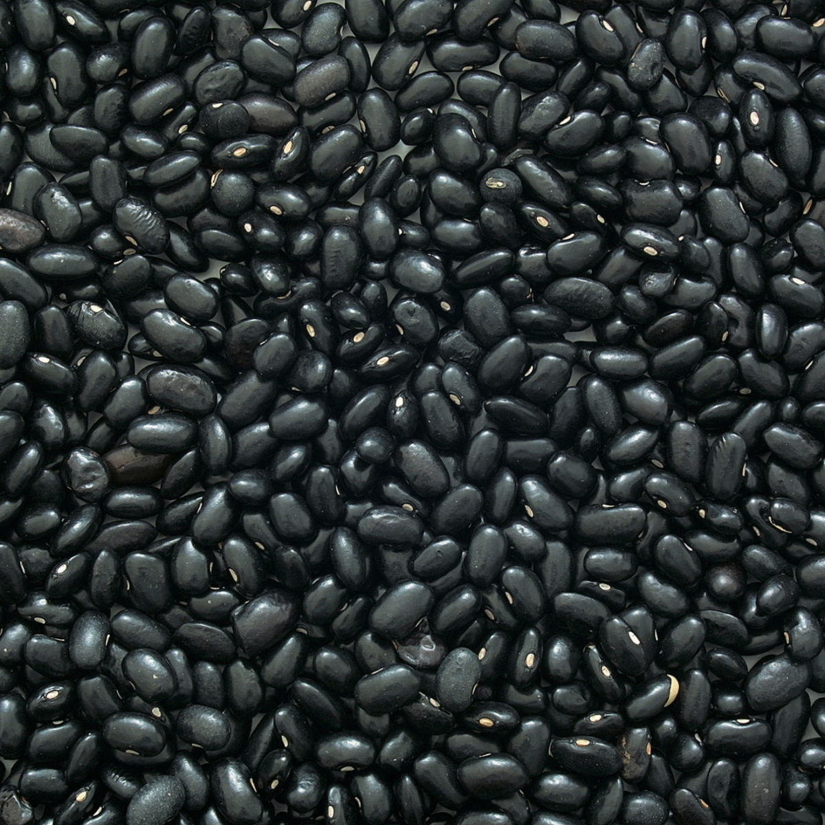 A picture of Delia's Black beans ingredient