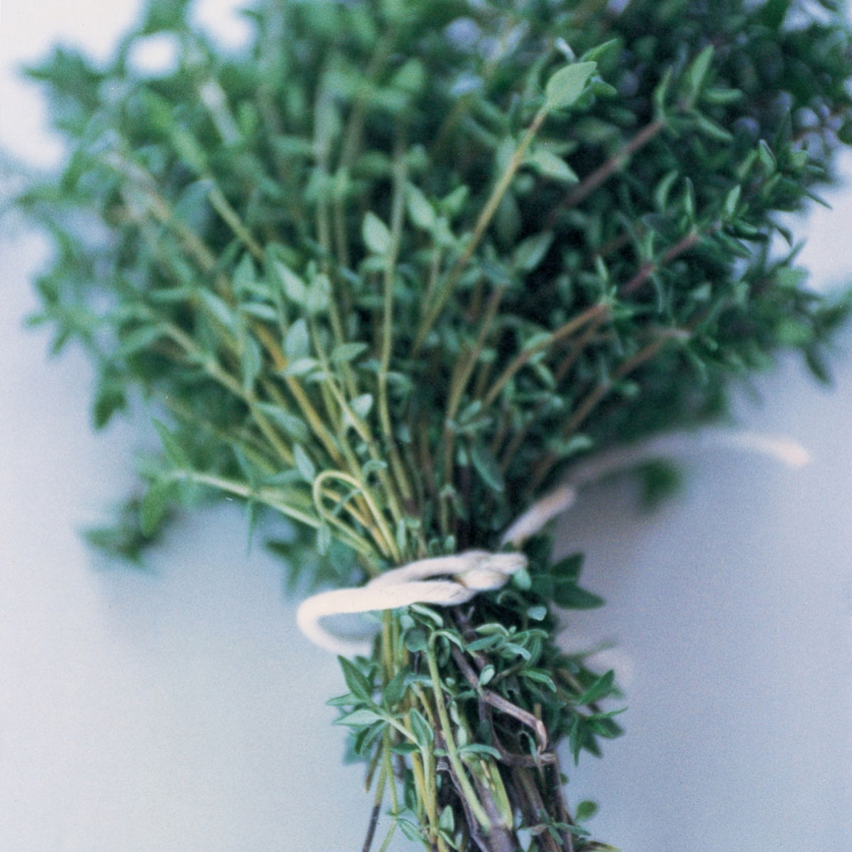 A picture of Delia's Thyme ingredient