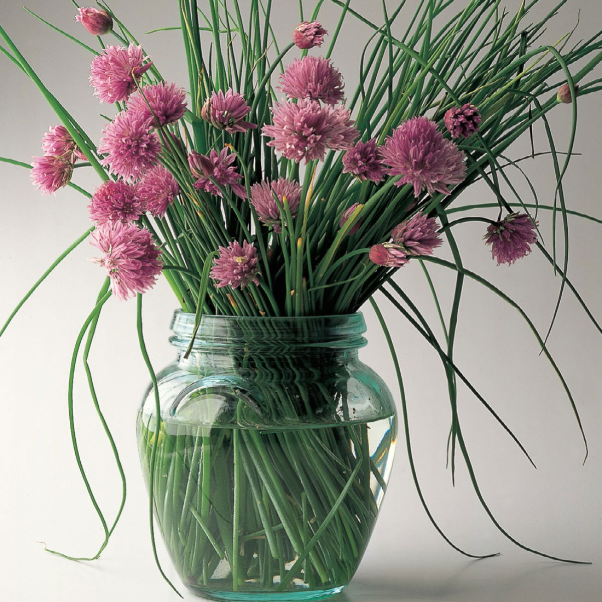 A picture of Delia's Chives ingredient