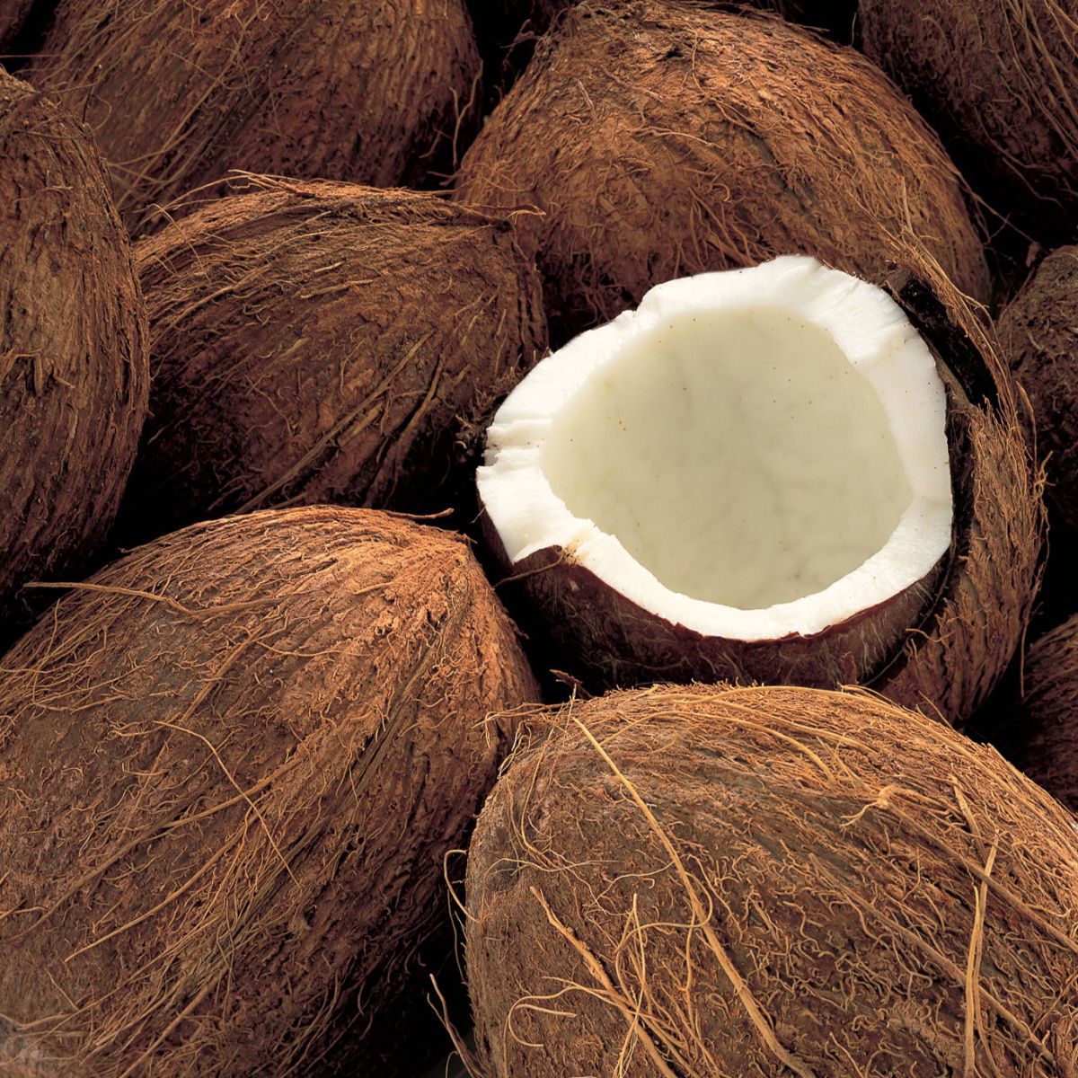 A picture of Delia's Coconut ingredient