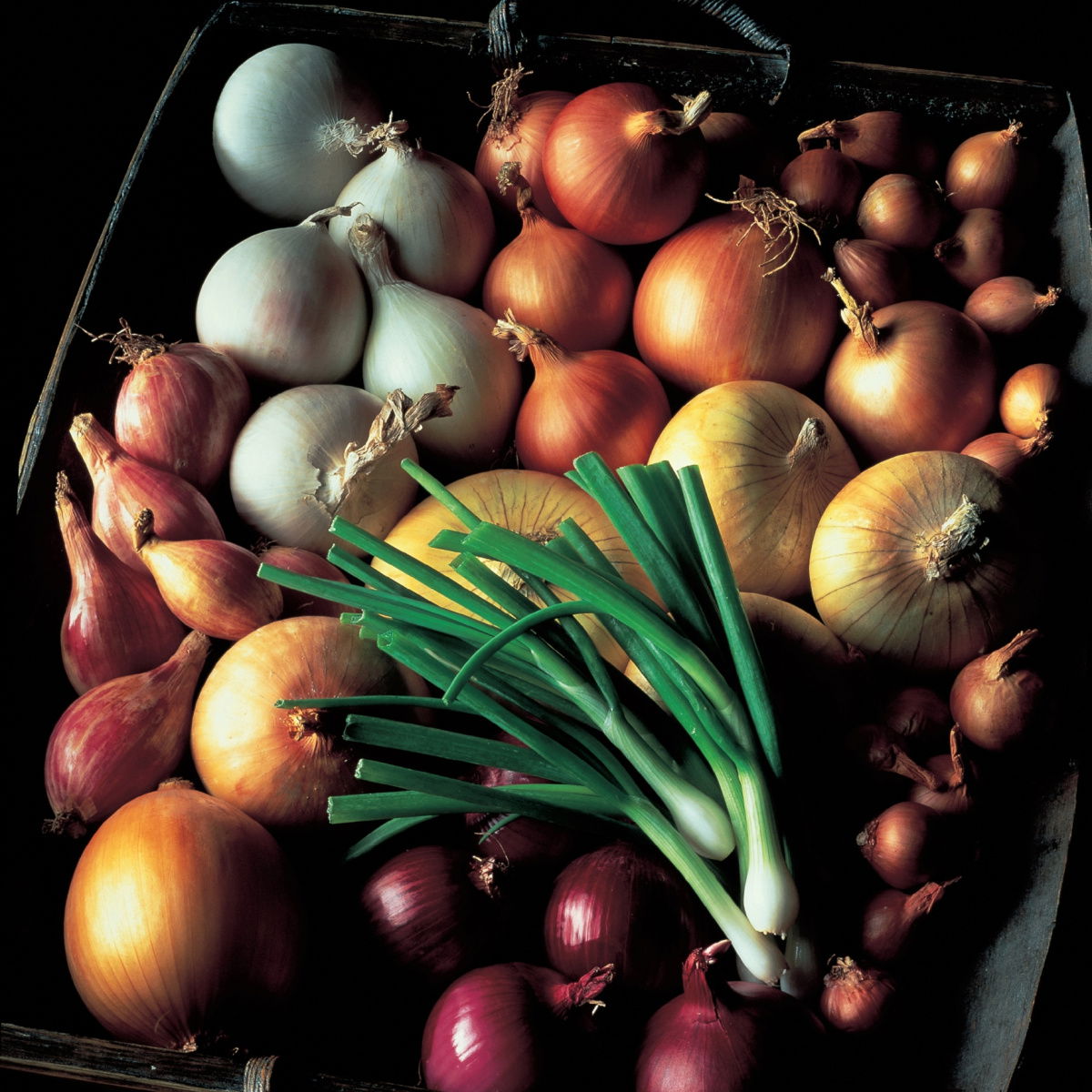 A picture of Vegetables