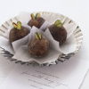 A picture of four sugared plums in paper cases on a silver plate with the words to auld lang syne on a sheet of paper