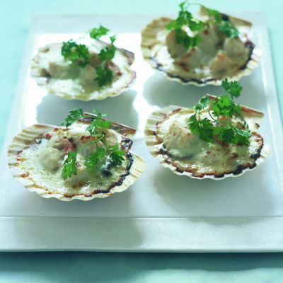 A picture of four scallops in their shells sitting on a white plate