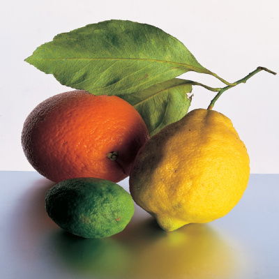 A picture of an orange a lemon and a lime