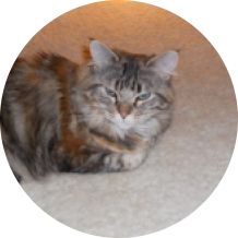 Headland13's picture