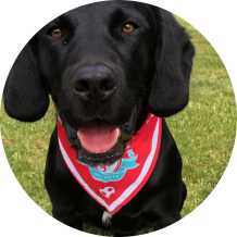 Twinkle Toes's picture