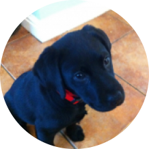 Helene Hounslow's picture