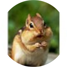 Burnt Onion's picture